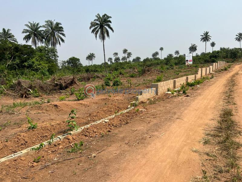 Mixed use Land For Sale Charisma Garden Ogbor Hill,aba Abia  - 6