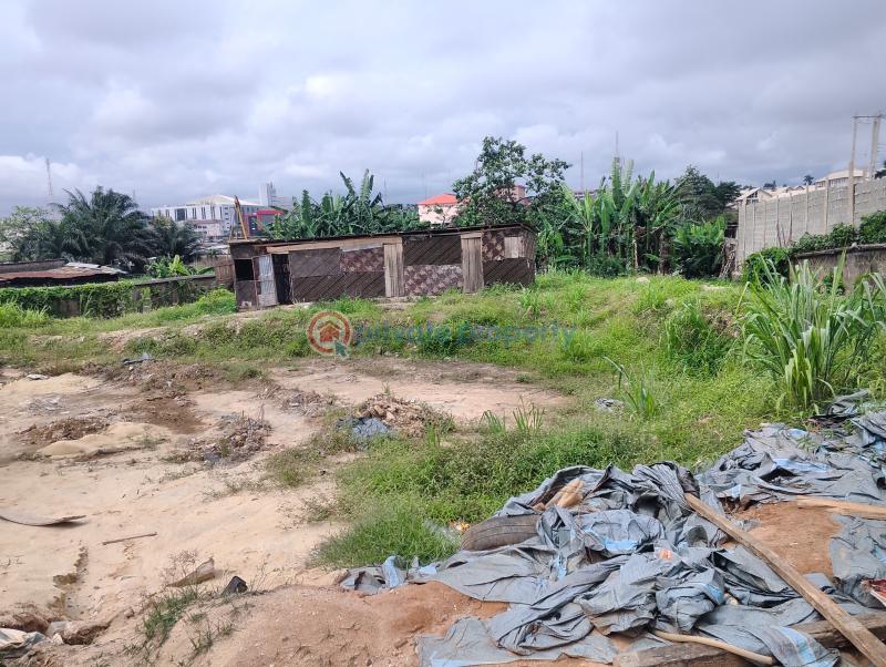 10 bedroom Residential Land For Sale Awusa Estate Opebi Ikeja Lagos Opebi Ikeja Lagos - 3