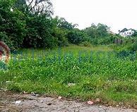 Land For Sale Banana Island, Ikoyi Lagos