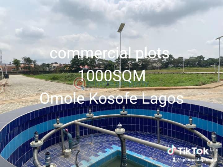 Mixed use Land For Sale Omole Kosofe/Ikosi Lagos