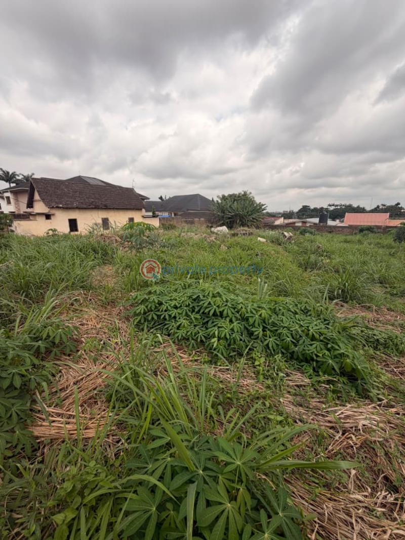 Land For Sale Iyanganku Gra, Ibadan. Ibadan Oyo - 1