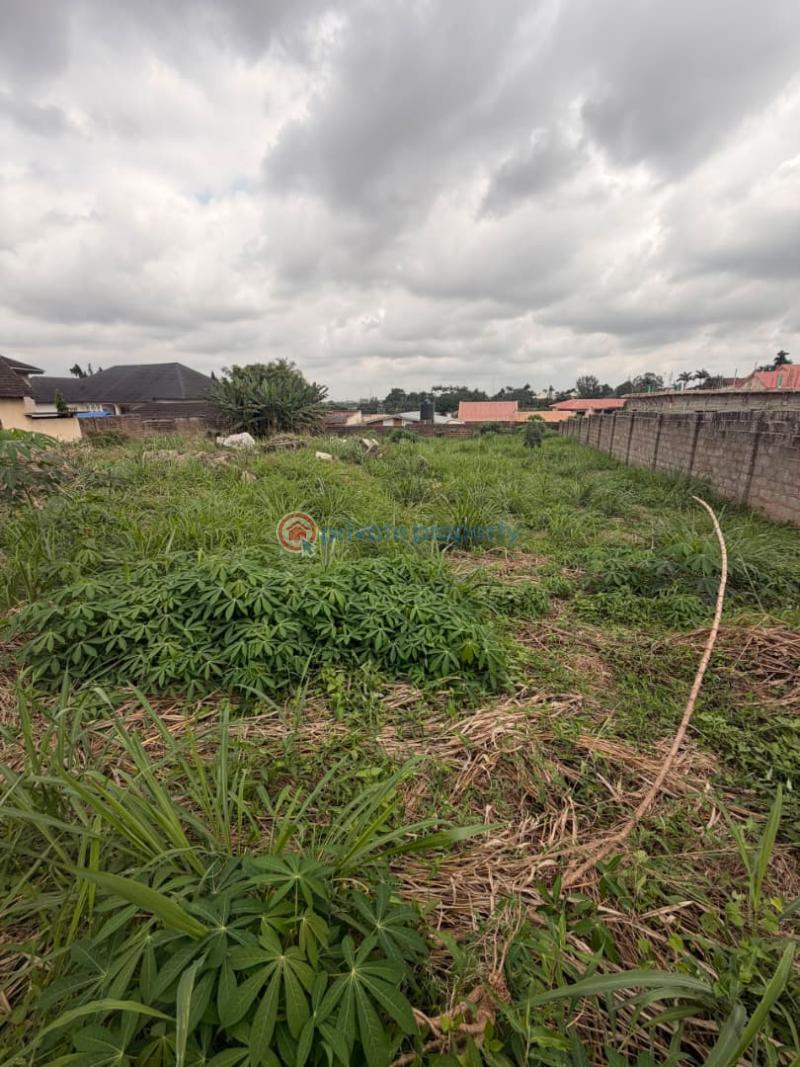 Land For Sale Iyanganku Gra, Ibadan. Ibadan Oyo - 2