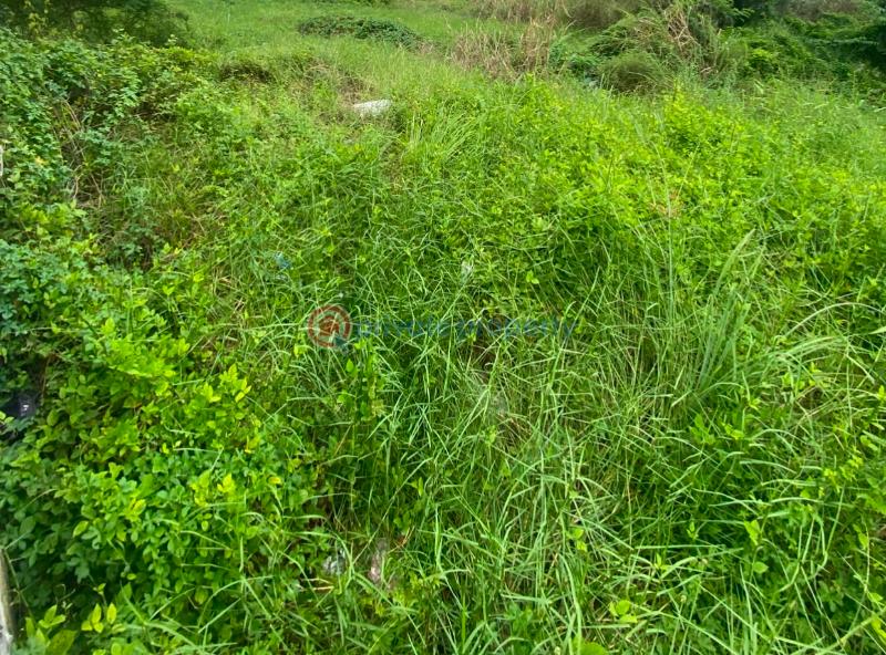 Residential Land For Sale Banana Island Ikoyi Lagos