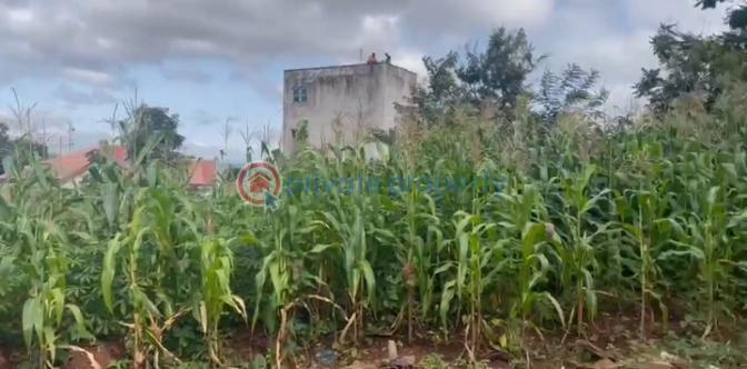 1000sqm on a juicy part of gra and on a tarred road - 1 Land For Sale Gra By Park Avenue Enugu Area  - 1