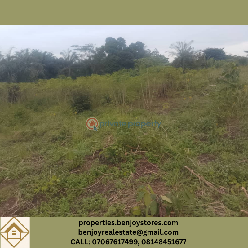 Mixed use Land For Sale Benin Edo - 1