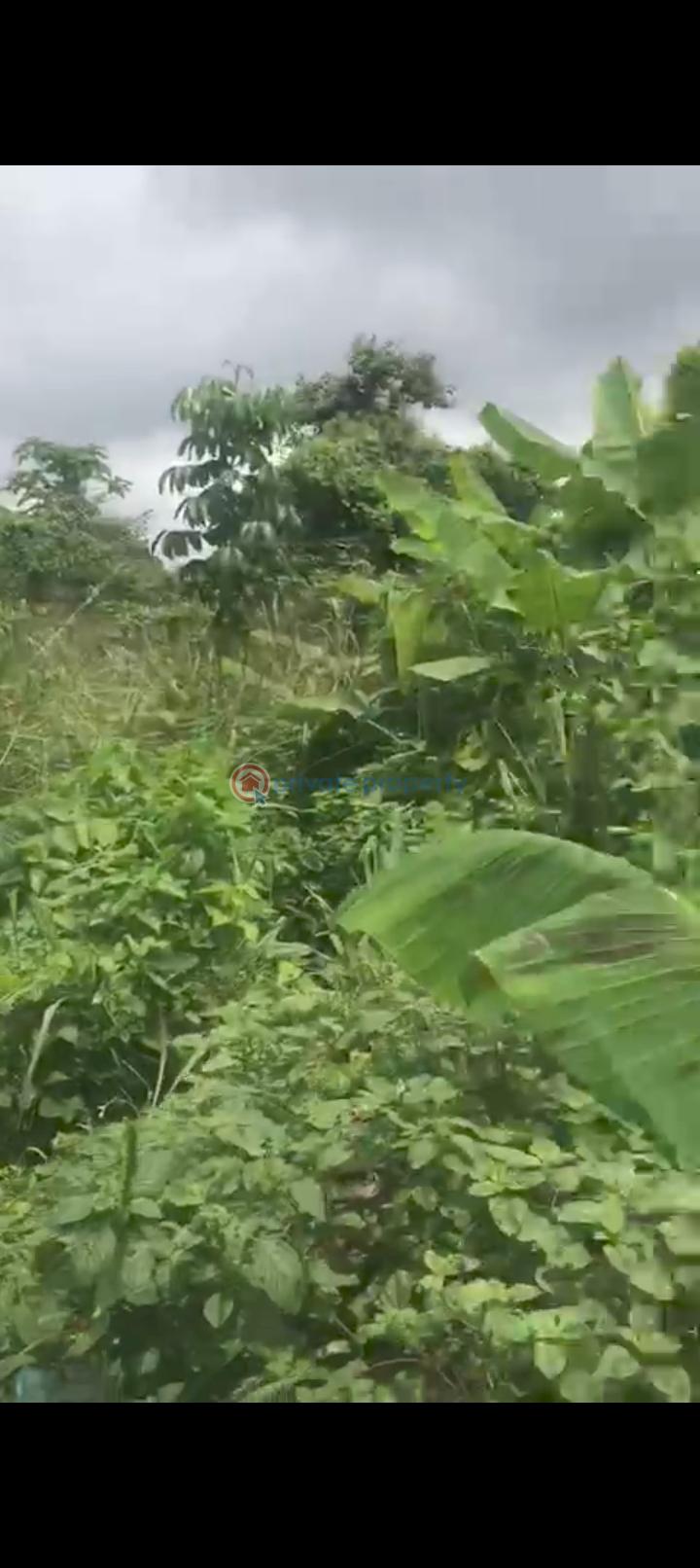 For sale Land Located At Ovbiogie Community, After Tamina Hotel, Benin