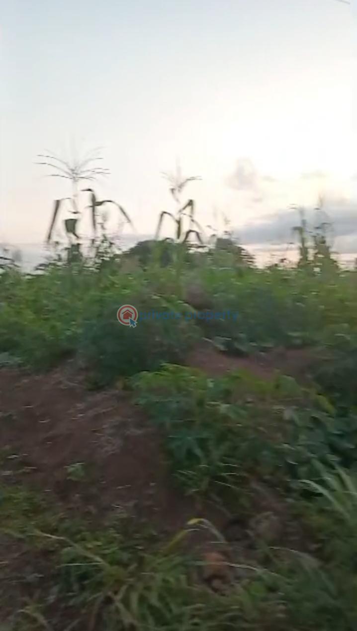 Mixed use Land For Sale Evbuekhae Community,200ft From Major Evbuekhae Road, Off Airport Road Extension, Benin Edo