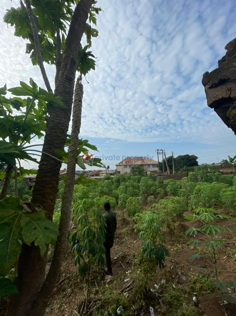Residential Land For Sale Alapata, Elewuro, Akobo Ibadan Oyo - 1