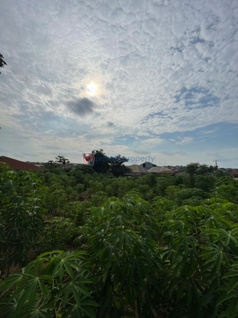 Residential Land For Sale Alapata, Elewuro, Akobo Ibadan Oyo - 3