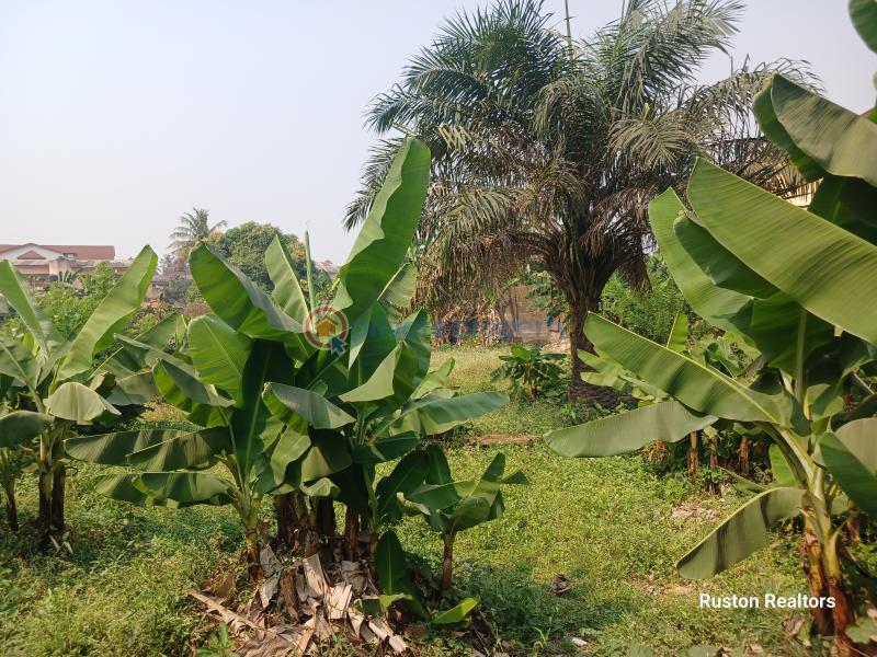 Residential Land For Sale New Bodija Bodija Ibadan Oyo - 0