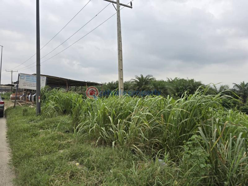 Land For Sale Itowolo, Beside Orita Aje Bus Stop, Ikorodu Lagos - 1