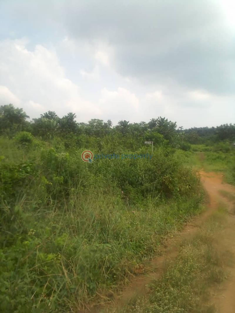 Land For Sale Igbopa London, Off Ijede Road Ikorodu Ikorodu Lagos - 0