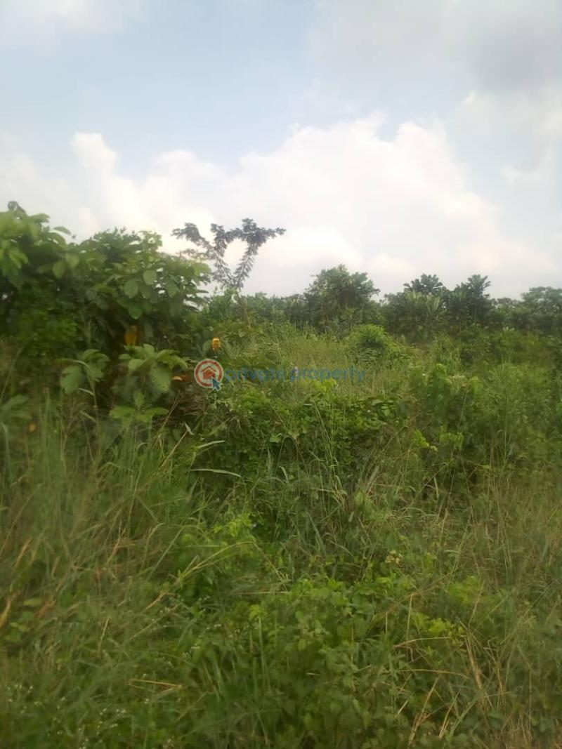 Land For Sale Igbopa London, Off Ijede Road Ikorodu Ikorodu Lagos - 1