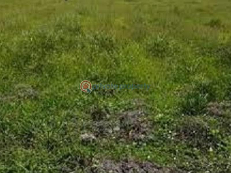 Land For Sale Banana Island Ikoyi Lagos