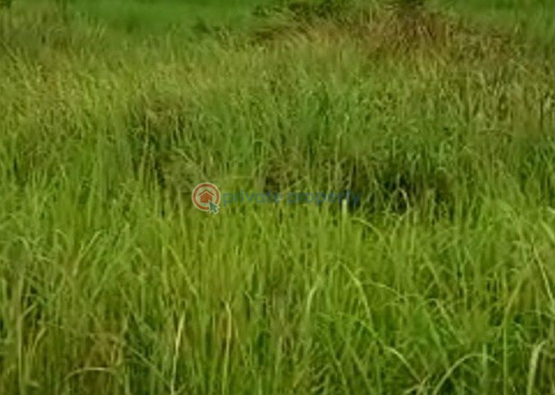 Land For Sale Banana Island Ikoyi Lagos