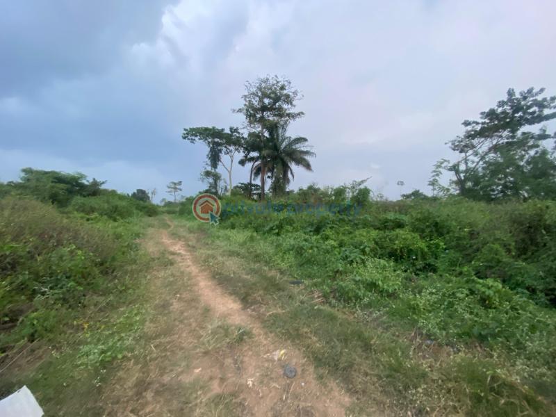Land For Sale Elenusonso Gra Estate: Transformation Housing Estate Ibadan Oyo - 1