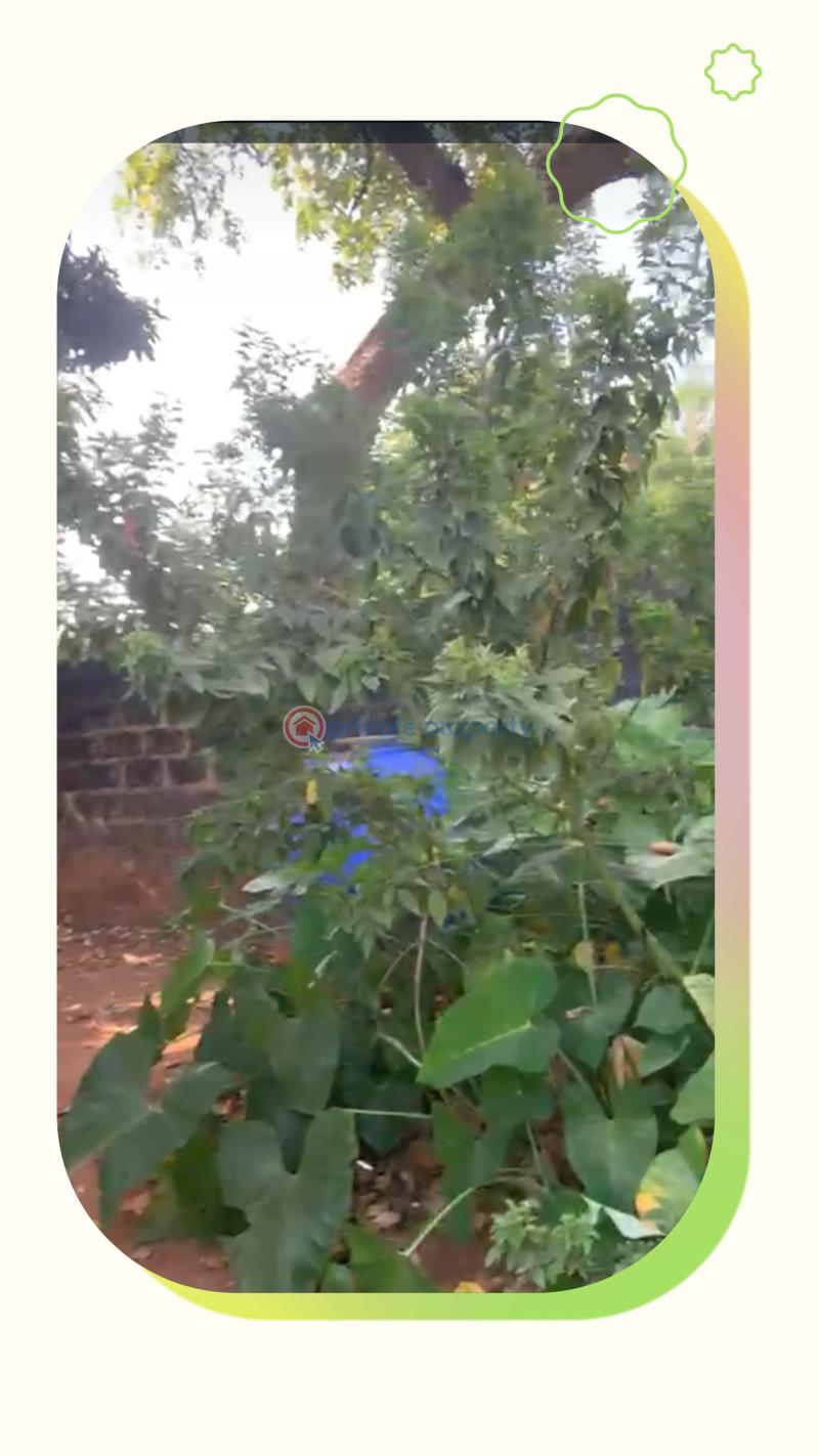 Mixed use Land For Sale Just Between Solid Base International School And Ezike Street. Transekulu Enugu Area  - 3