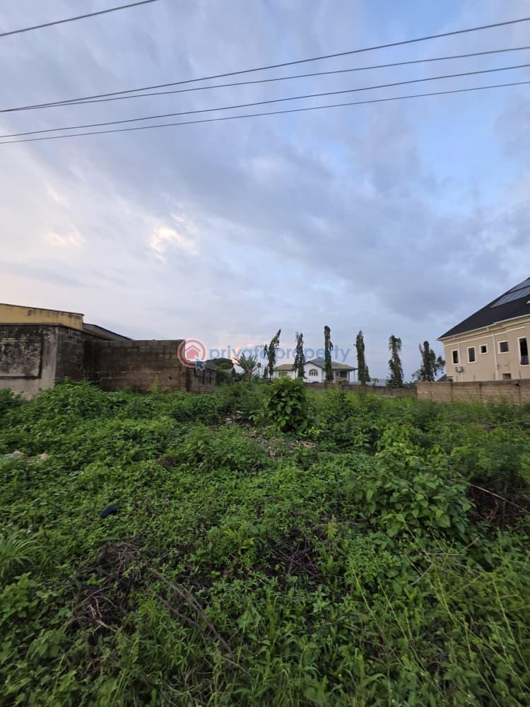 Land For Sale Buddy Olofa Highly Accessible, With Direct Access To The Main Akala Estate Road. Ibadan Oyo - 3