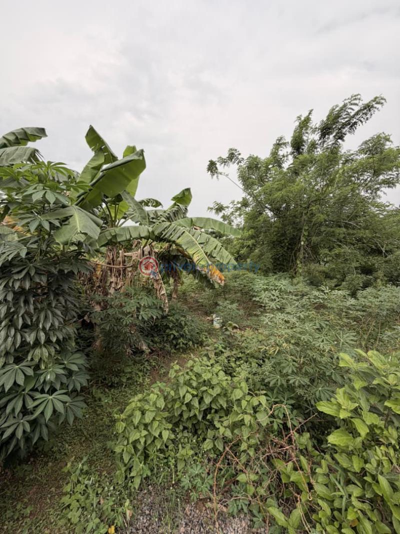 Land For Sale Kolapo Ishola Phase 2 Ibadan Oyo - 1