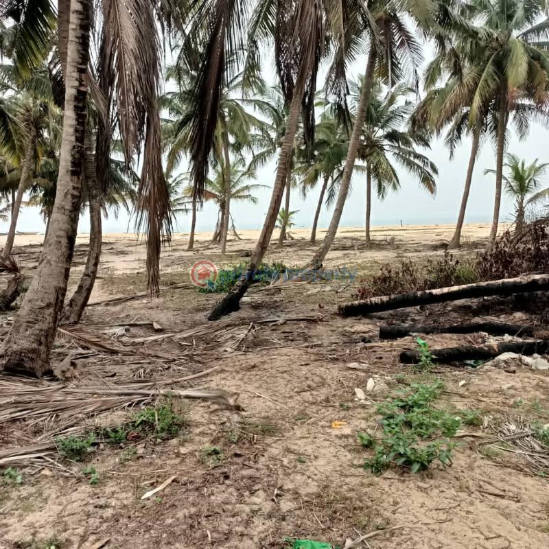 Mixed use Land For Sale Beside Dangote Refinery Free Trade Zone Ibeju-Lekki Lagos - 5