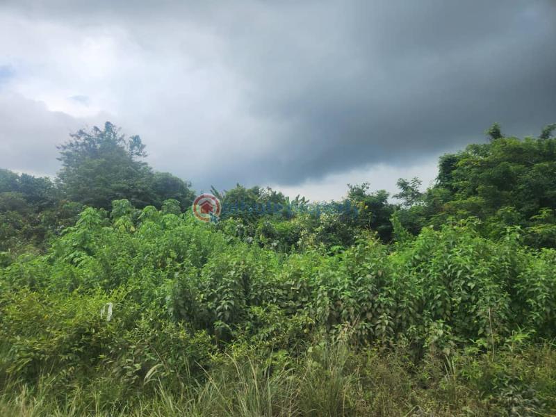 Industrial Land For Sale Lagos/ Ibadan Expressway Ibadan Oyo - 2