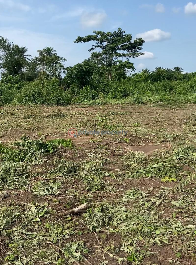 Commercial Land For Sale Alapako Village Alapakooni Obafemi Owode Ogun