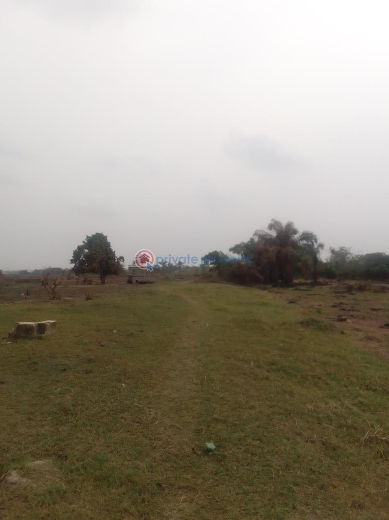1,500 acres of virgin land for sale - 1 Mixed use Land For Sale Amscon Along Lagos Ibadan Express Way Obafemi Owode Ogun - 1