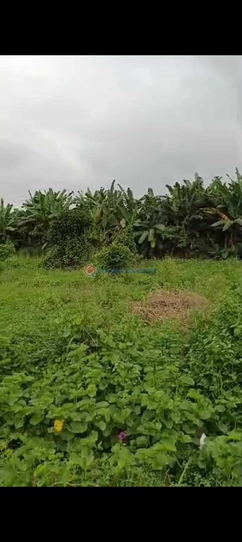 Land For Sale Very Close To Ace Mall Akobo.at Anifalaje Akobo, Ibadan. Akobo Ibadan Oyo - 0