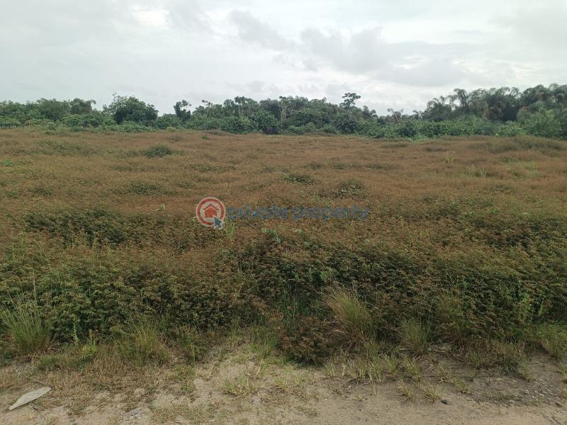 Residential Land For Sale Ajayi Apata Sangotedo Ajah Lagos