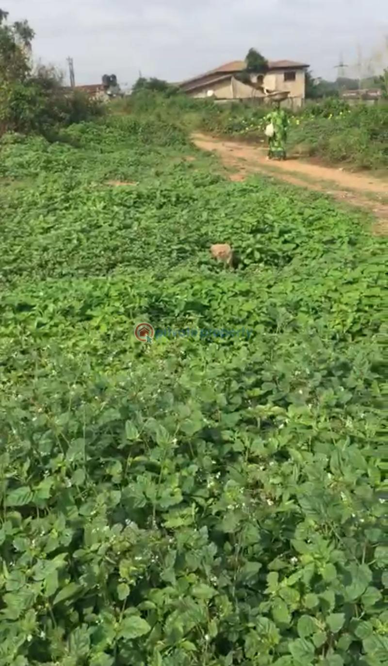 Residential Land For Sale Pine Avenue, Alalubosa Gra, Ibadan Alalubosa Ibadan Oyo - 0