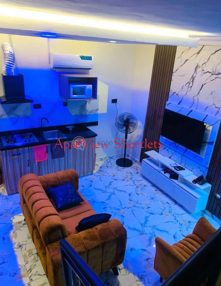 1 bedroom Block Of Flats Short let Off Bode Thomas, Surulere Lagos - 6