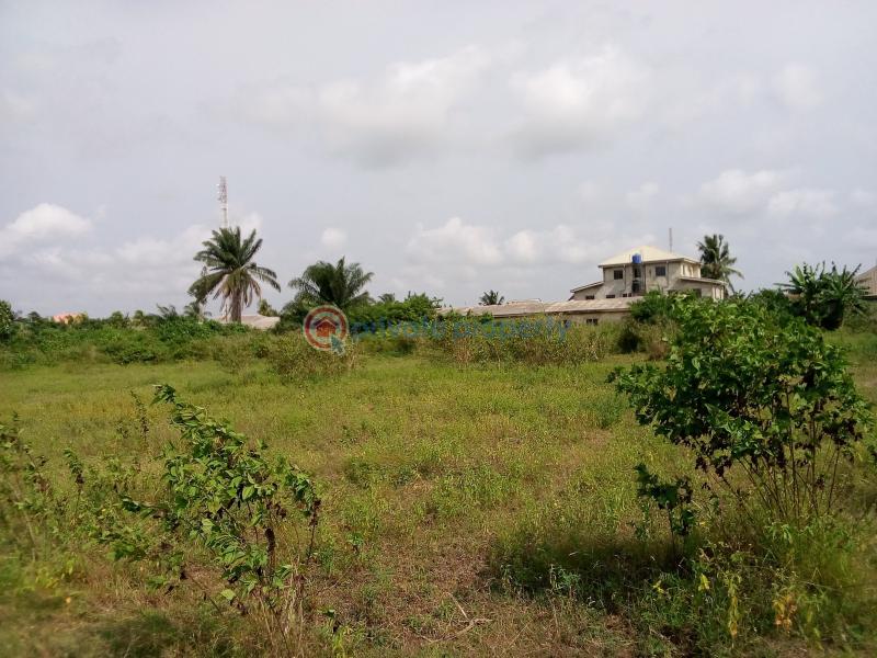 Land For Sale Oko Afo/ilogbo Road Oko Afo Badagry Lagos - 4