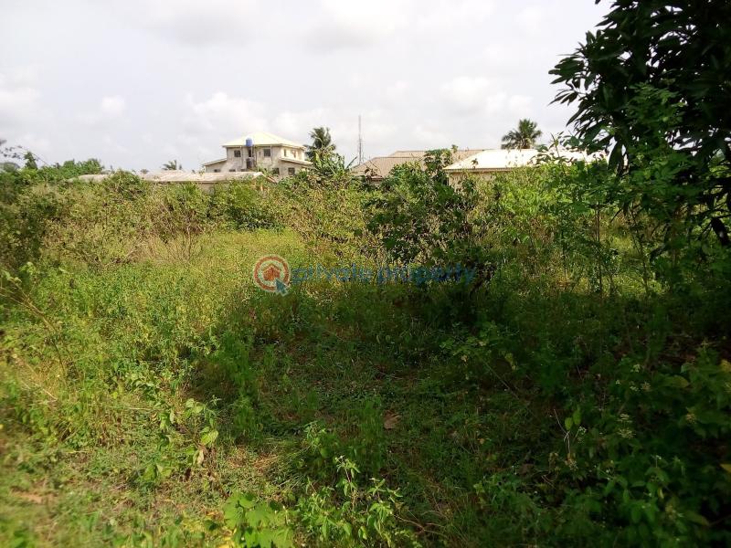 Land For Sale Oko Afo/ilogbo Road Oko Afo Badagry Lagos - 8
