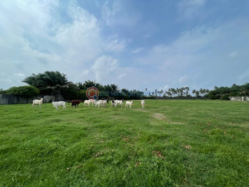 Mixed use Land For Sale Otolu Eleko Ibeju-Lekki Lagos - 10