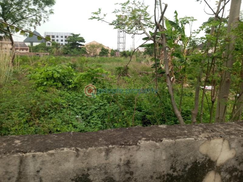2 acres of prime land Mixed use Land For Sale Off Marriam Babangida Asaba Delta