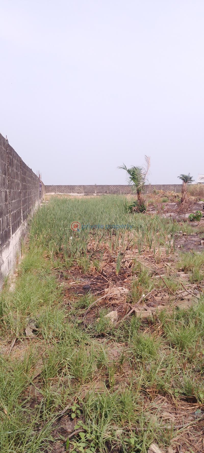 Residential Land For Sale Silver Point Estate Badore Ajah Lagos - 0