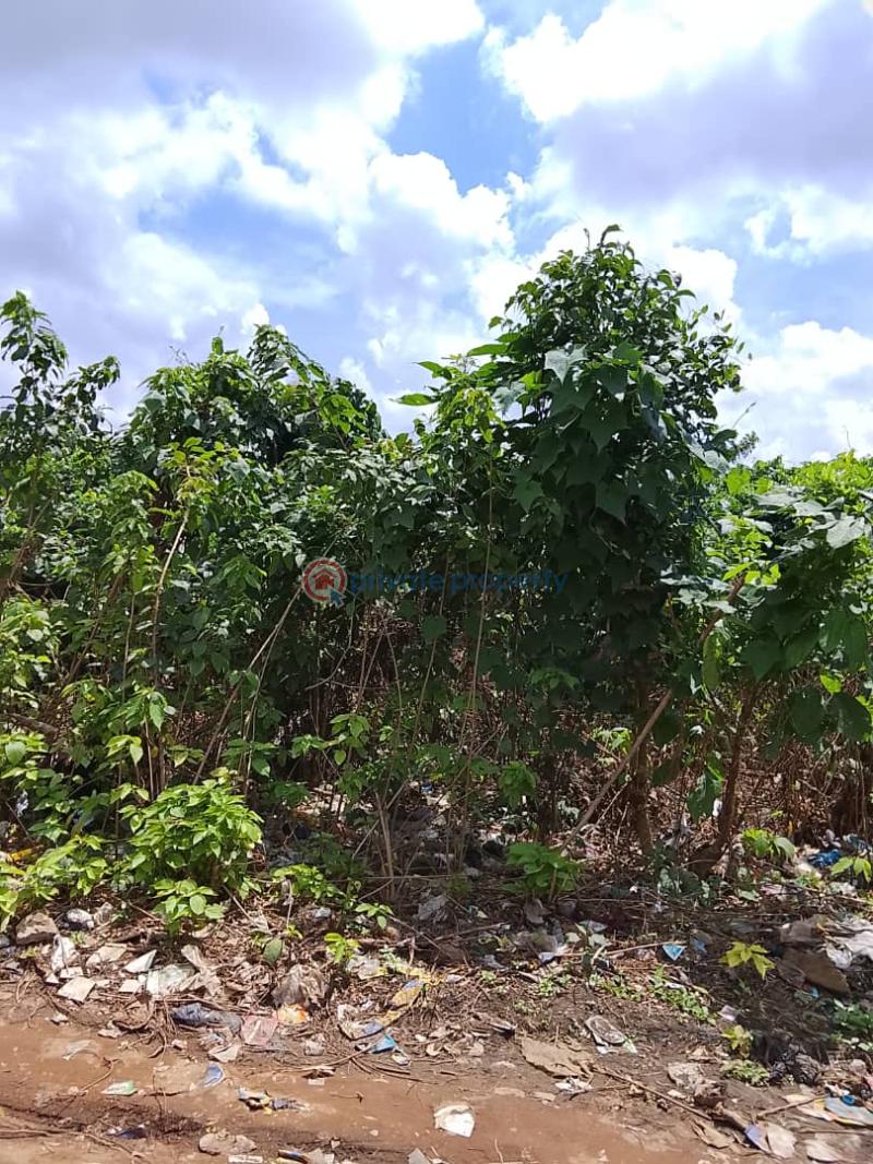 Mixed use Land For Sale Wire And Cable Apata Ibadan Oyo - 4