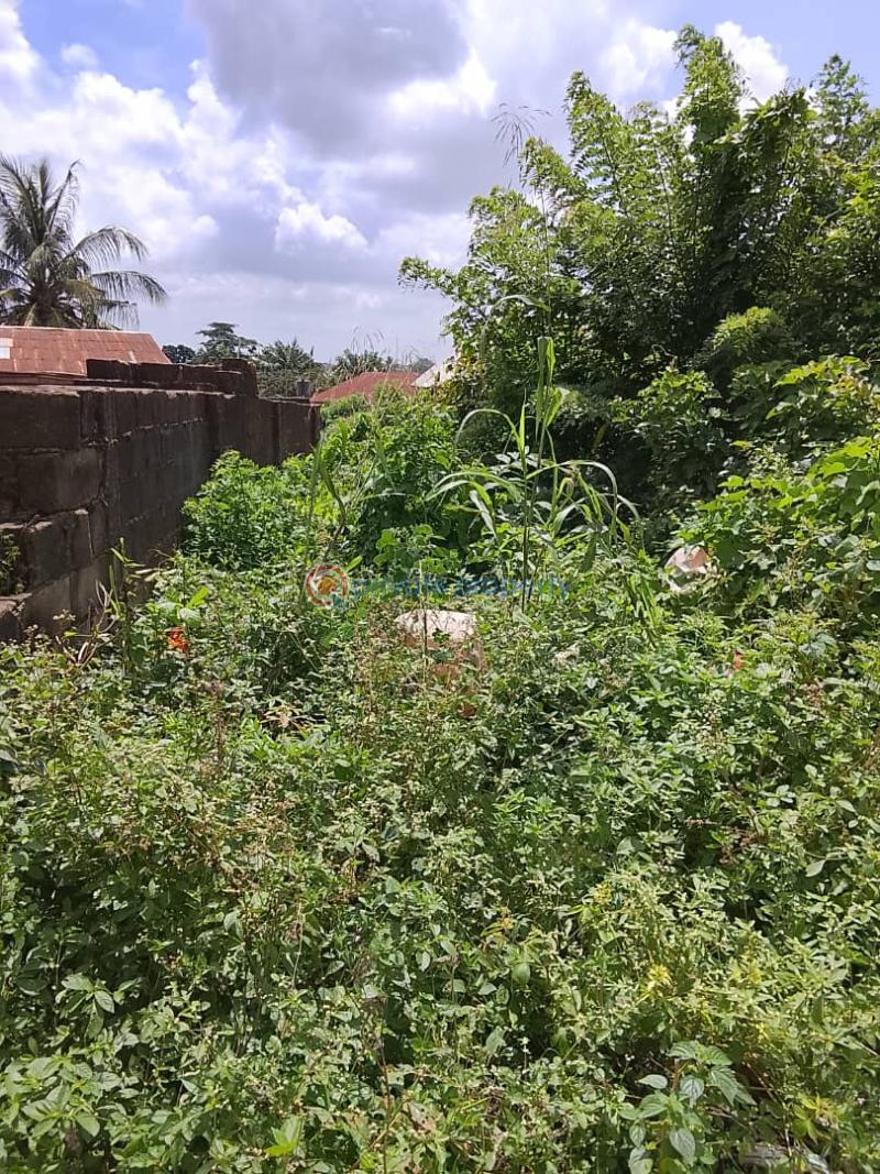 Mixed use Land For Sale Wire And Cable Apata Ibadan Oyo - 5
