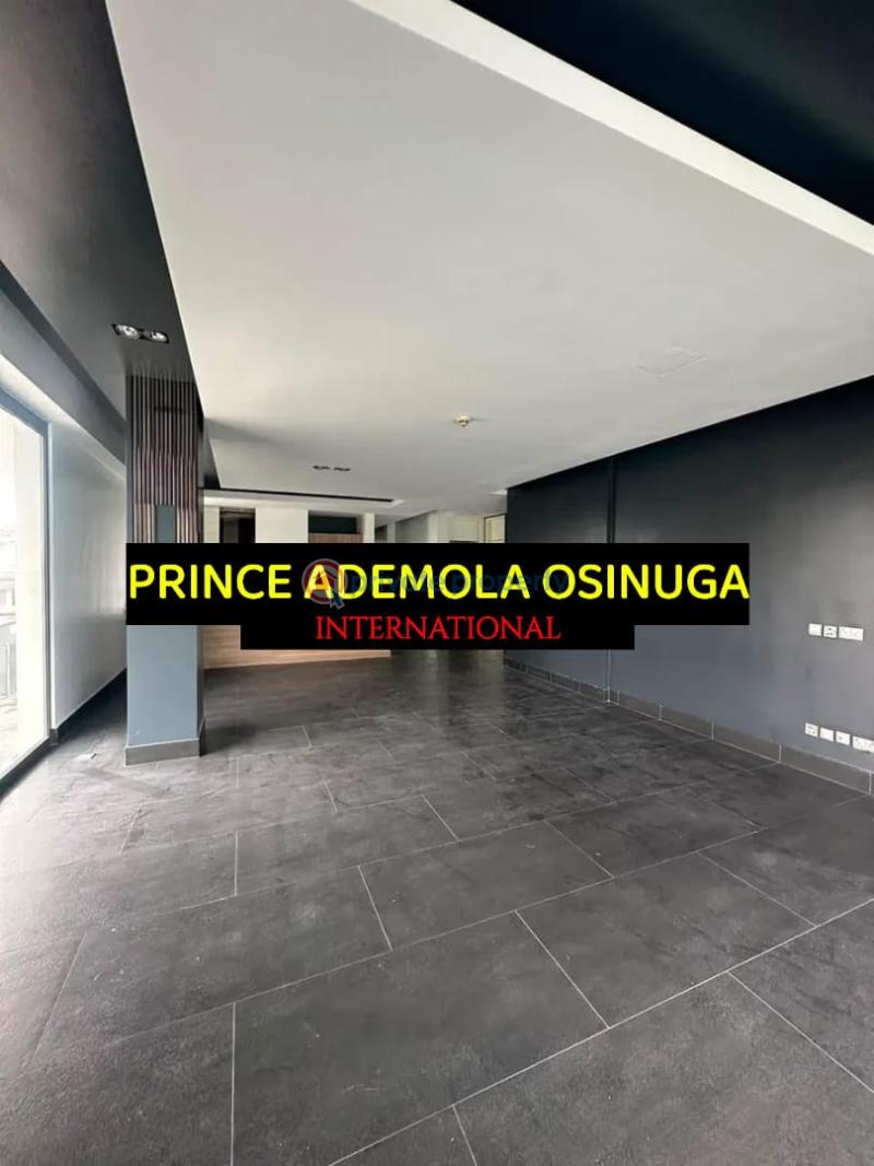2 bedroom Flat & Apartment For Rent Old Ikoyi Lagos - 9