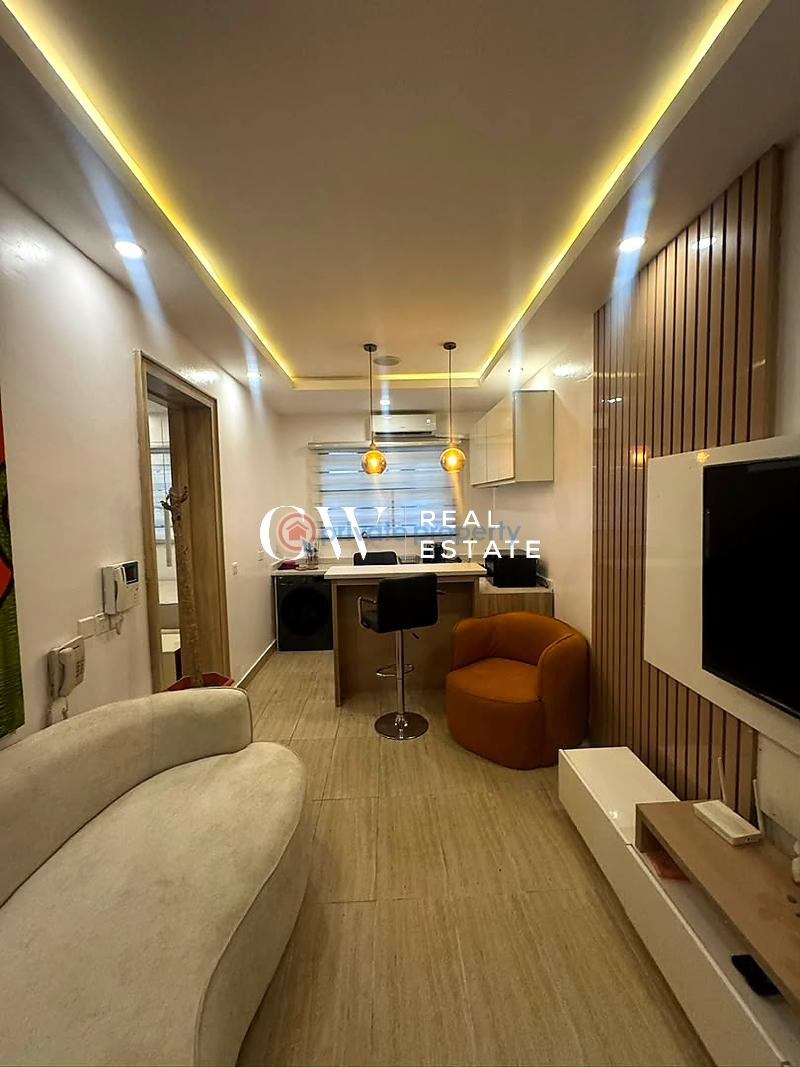 2 bedroom Flat & Apartment For Rent Victoria Island Lagos - 0