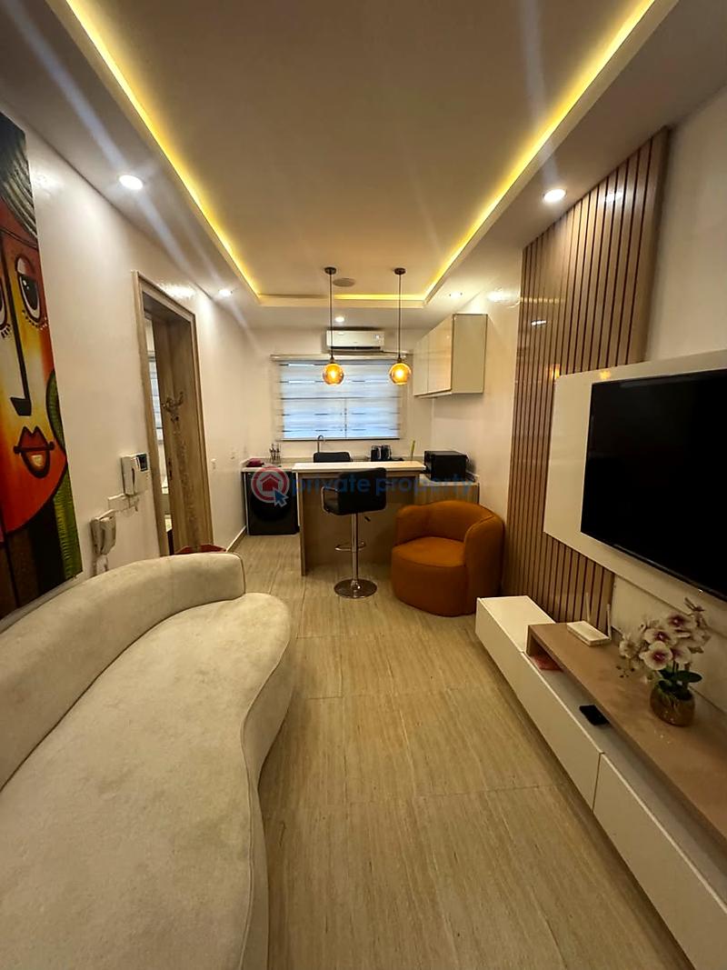 2 bedroom Flat & Apartment For Rent Victoria Island Lagos - 5