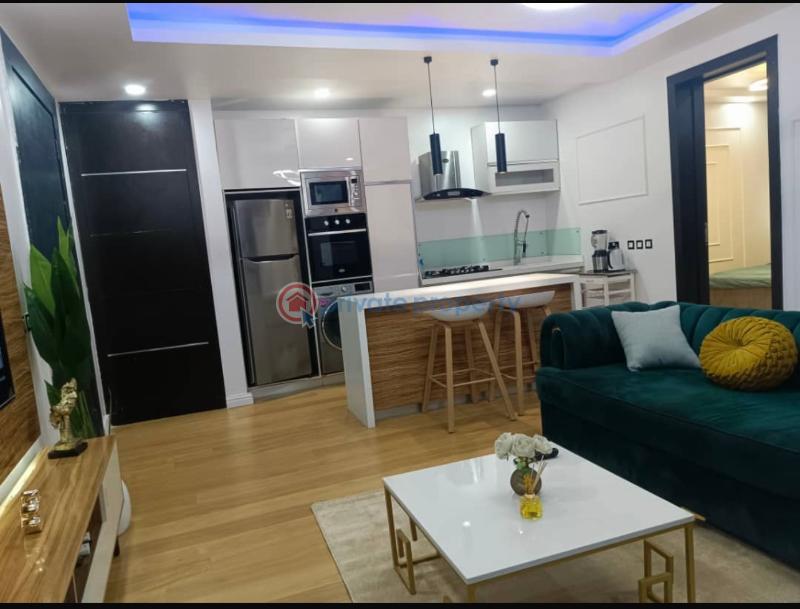 2 bedroom Block Of Flats For Sale Freedom Way Lekki Phase 1 Ikate Elegushi Lekki Lagos - 2