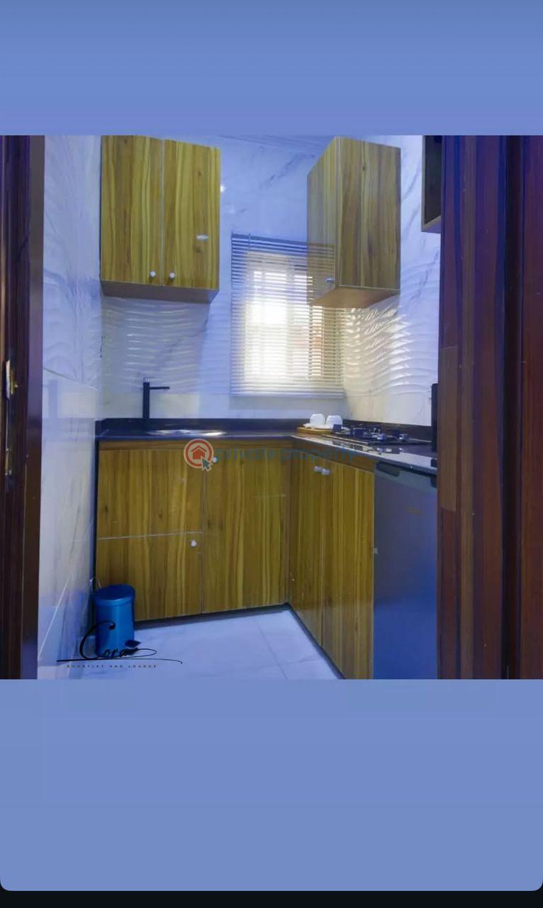 2 bedroom Flat & Apartment Short let Adeniyi Jones Ikeja Lagos - 3