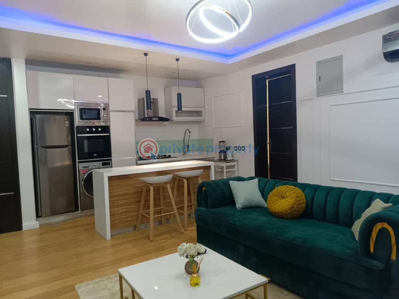 2 bedroom Block Of Flats For Sale Off Freedom Way Lekki Phase 1 Lagos Lekki Phase 1 Lagos - 11