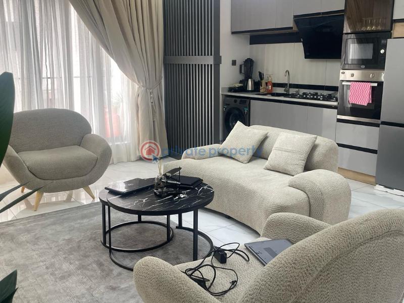2 bedroom Flat & Apartment Short let Ikate Lekki Lagos - 10