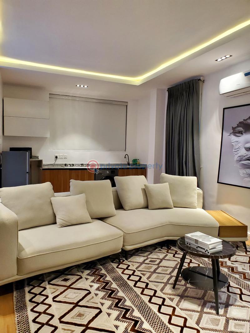 2 bedroom Flat & Apartment Short let Ikoyi Lagos - 11
