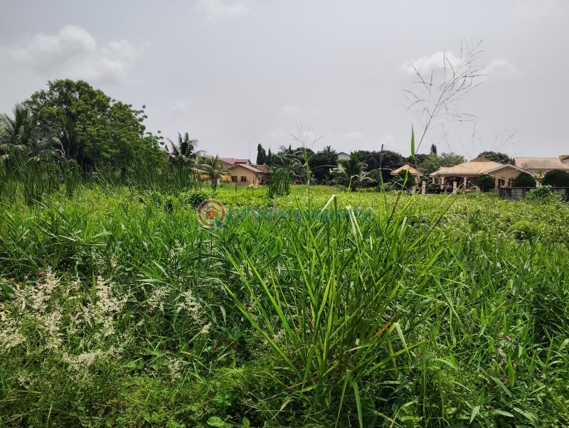 10 bedroom Residential Land For Sale Cooperative Estate Ado Badore Ajah Lagos Ado Ajah Lagos - 7