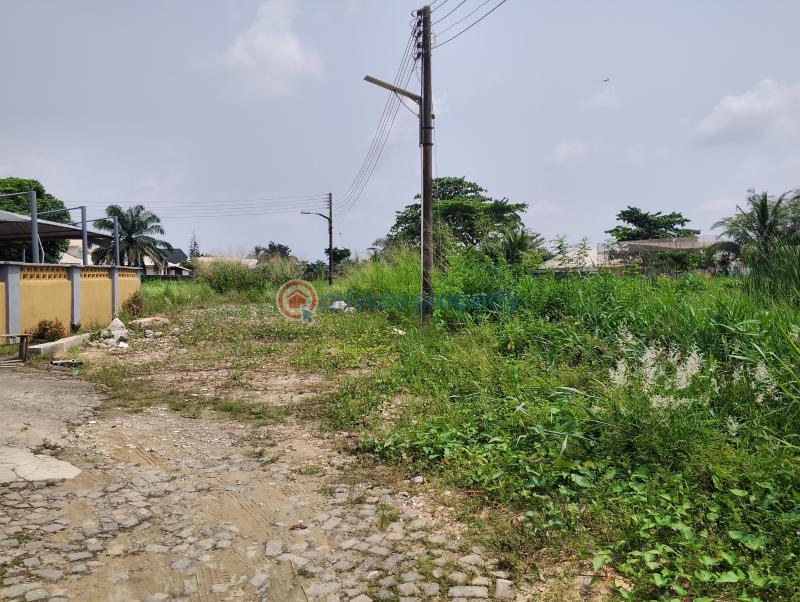 10 bedroom Residential Land For Sale Cooperative Estate Ado Badore Ajah Lagos Ado Ajah Lagos - 1