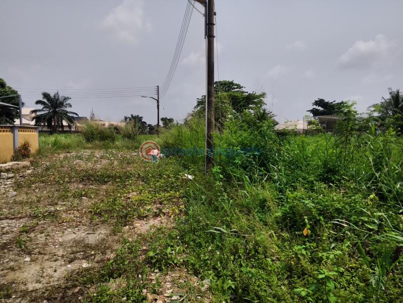 10 bedroom Residential Land For Sale Cooperative Estate Ado Badore Ajah Lagos Ado Ajah Lagos - 6