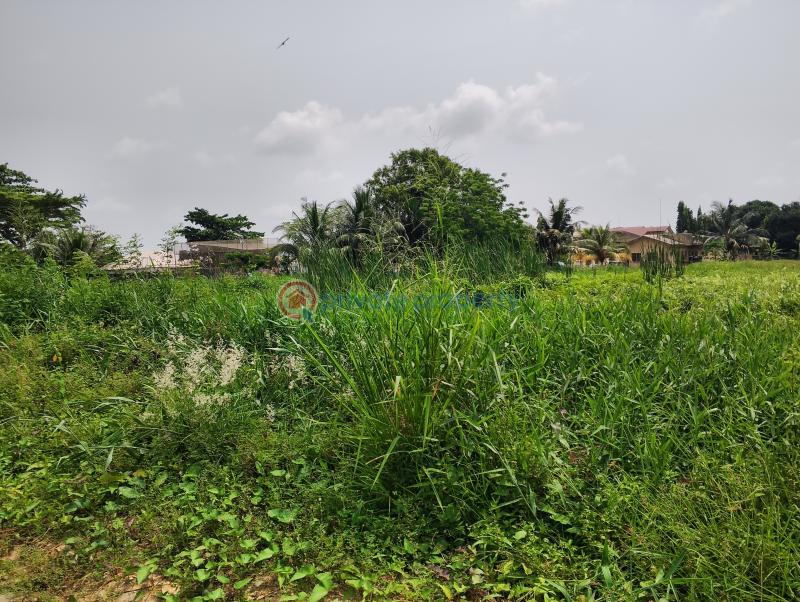 10 bedroom Residential Land For Sale Cooperative Estate Ado Badore Ajah Lagos Ado Ajah Lagos - 2